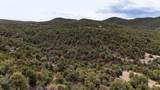 Rolling Hills Dr - Photo 5