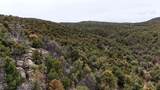  Rolling Hills Dr - Photo 6