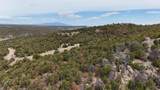  Rolling Hills Dr - Photo 8