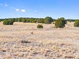 TBD County Road 88 - Photo 5