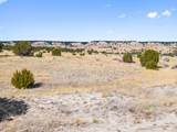 TBD County Road 88 - Photo 6