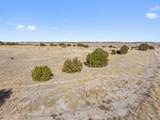 TBD County Road 88 - Photo 9
