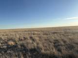 27536 County Road B - Photo 10