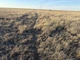 27536 County Road B - Photo 12