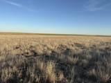 27536 County Road B - Photo 3