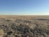 27536 County Road B - Photo 6