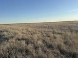 27536 County Road B - Photo 9