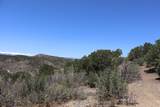 12101 Elk Run Road - Photo 11