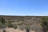 12101 Elk Run Road - Photo 12