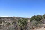 12101 Elk Run Road - Photo 21