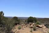 12101 Elk Run Road - Photo 3