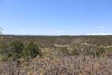 12101 Elk Run Road - Photo 35