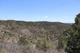 12101 Elk Run Road - Photo 38