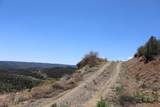 12101 Elk Run Road - Photo 43