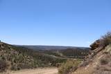 12101 Elk Run Road - Photo 44