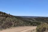 12101 Elk Run Road - Photo 45