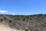 12101 Elk Run Road - Photo 46