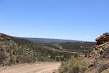 12101 Elk Run Road - Photo 48