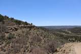 12101 Elk Run Road - Photo 49