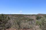 12101 Elk Run Road - Photo 9