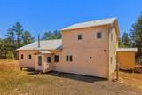 33002 Bobcat Court - Photo 3