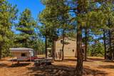 33002 Bobcat Court - Photo 40