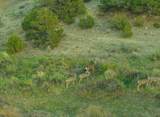 640 County Road 571 - Photo 5