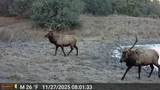 11730 Widow Woman Canyon Rd - Photo 32