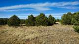 37 Navajo Ranch Resorts Filing #4 - Photo 13