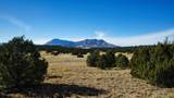37 Navajo Ranch Resorts Filing #4 - Photo 14