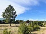 463 Leather Drive - Photo 47