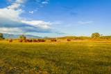 TBD Co Road 554 - Photo 7