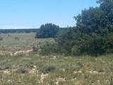 000 Longhorn Ranch Phase-Ii- Blk-9 - Photo 6