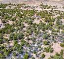 Lot 79 Navajo Ranch Resorts - Photo 3