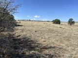 Lot 94 Navajo Ranch Resorts - Photo 15
