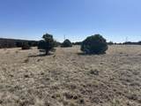 Lot 94 Navajo Ranch Resorts - Photo 4