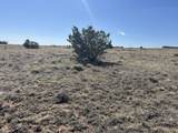 Lot 94 Navajo Ranch Resorts - Photo 7