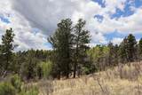  Spanish Peaks Ranch Estates - Photo 13