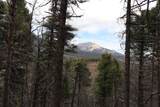  Spanish Peaks Ranch Estates - Photo 19
