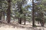  Spanish Peaks Ranch Estates - Photo 39