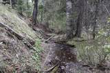  Spanish Peaks Ranch Estates - Photo 46