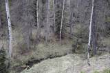  Spanish Peaks Ranch Estates - Photo 49