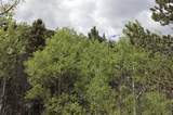  Spanish Peaks Ranch Estates - Photo 8