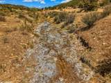 TBD San Juan Mesa Drive - Photo 11