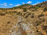 TBD San Juan Mesa Drive - Photo 12
