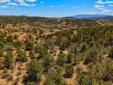 TBD San Juan Mesa Drive - Photo 15