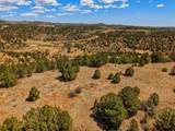 TBD San Juan Mesa Drive - Photo 17