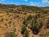TBD San Juan Mesa Drive - Photo 20