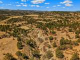 TBD San Juan Mesa Drive - Photo 23