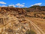 TBD San Juan Mesa Drive - Photo 3